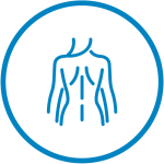 Image featuring a human back, symbolizing the focus on musculoskeletal health in the physiotherapy program at the Medical University of Silesia.